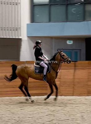 проститутка Кетрин фото 2